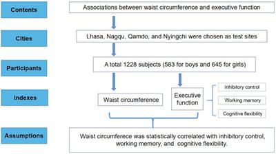 Associations between waist circumference and executive function among Chinese Tibetan adolescents living at high altitude